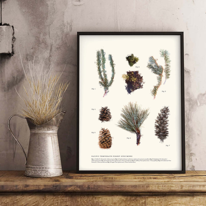 Affordable Fine Art Print - Framed Fine Art Print - Framed Wall Art - Cheap Wall Art - Art Print Cost - Low Cost Art Prints - Best Fine Art Prints - Art Prints Cheap - Art Prints Online - Art Prints California - Art Prints San Francisco - Specimen Art - Specimen Wall Art - Specimen Decor - Cabin Decor - Nature Art - Nature Painting - Nature Wall Art - Nature Artwork - Posters of Nature - Nature Wall Decor - Wildlife Print - Nature Decor - Forest Painting - Forest Art Forest Paintings - Forest Wall Art