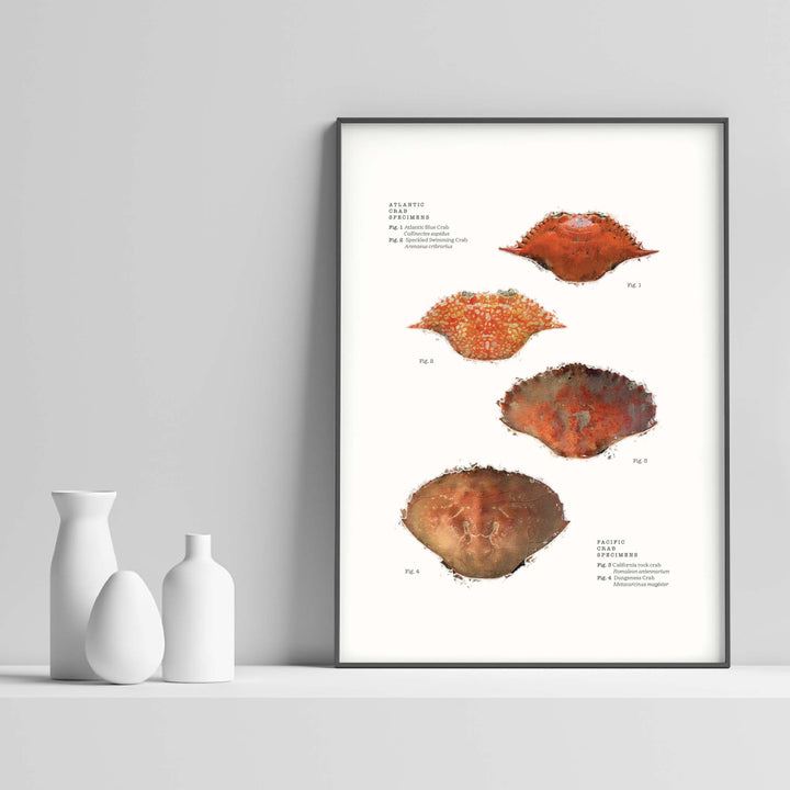 Affordable Fine Art Print - Framed Fine Art Print - Framed Wall Art - Cheap Wall Art - Art Print Cost - Low Cost Art Prints - Best Fine Art Prints - Art Prints Cheap - Art Prints Online - Art Prints California - Art Prints San Francisco - Ocean Art - Beach Cottage Art - Ocean Decor - Ocean Painting - Ocean Watercolor - Sea Painting - Ocean Wall Art - Ocean Artwork - Ocean Prints - Sea Shell Art - Ocean Paintings - Crab Art - Crab Painting