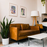 Bianca Dunn Art Print Set, set in a beautifully designed Boho-Chic living room.