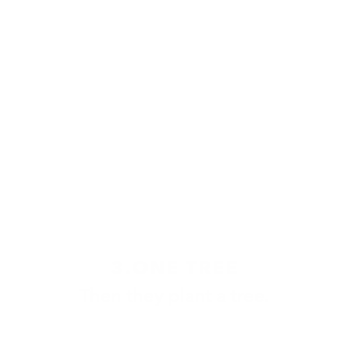 Step 3. They plant a tree.
