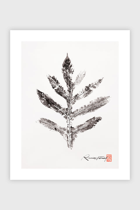 
            
                Load image into Gallery viewer, Artocarpus
            
        