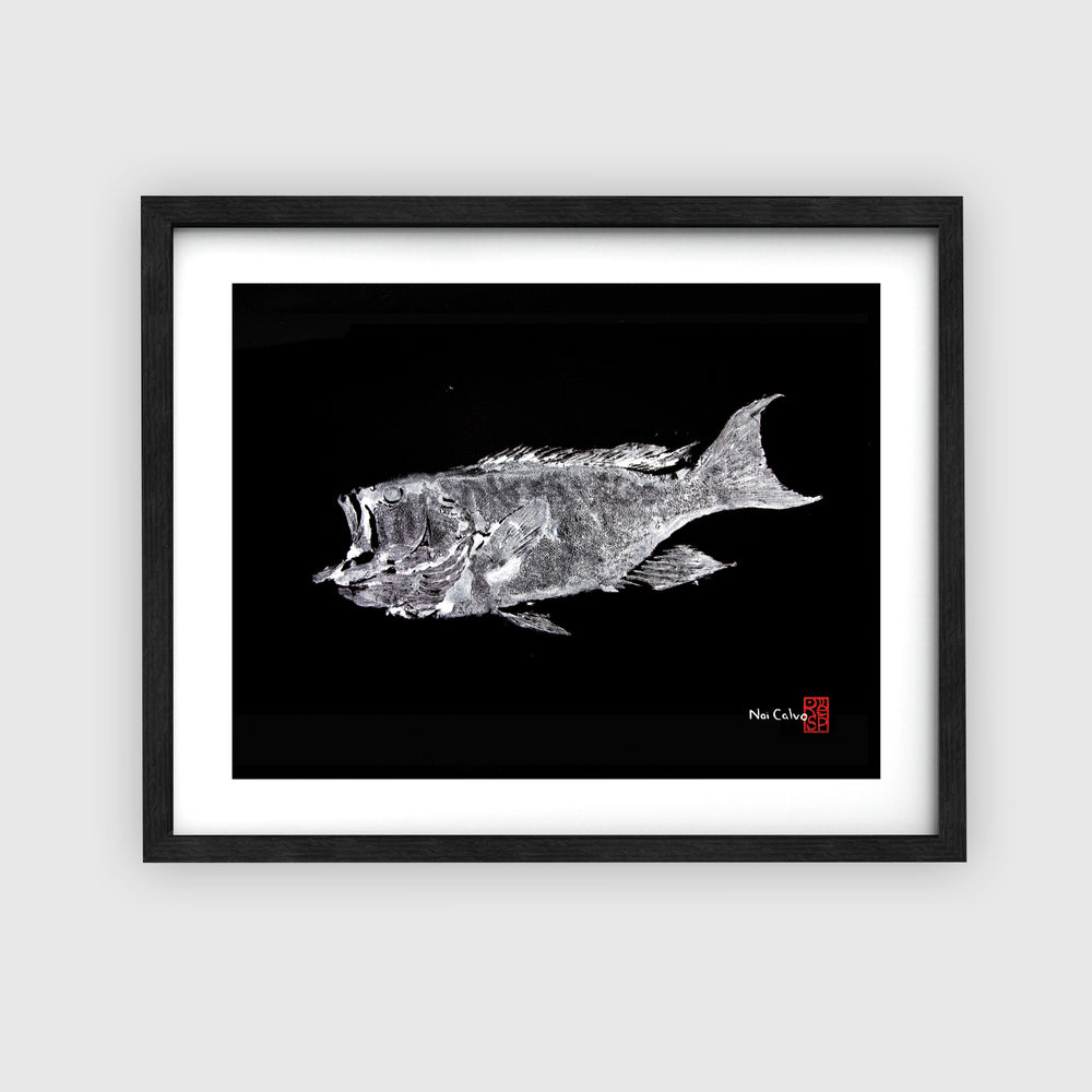 Parrotfish, Grouper (B&W) : 2 Print Bundle