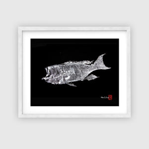 Parrotfish, Grouper (B&W) : 2 Print Bundle